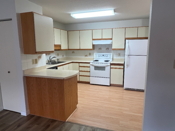 1 Bedroom Bedrooms, ,1 BathroomBathrooms,Apartment,For Rent,0,1175